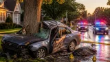 Greensboro man dies after single-vehicle crash into tree, officials say