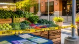 Lafayette among parishes seeing surge in Cyclospora infections, state reports