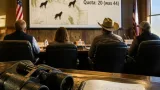 Northwest Wyoming wolf quota halved as population hits two-decade low