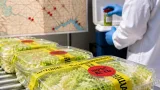 State health officials link at least 56 Oklahoma cases of cyclosporiasis to shredded lettuce
