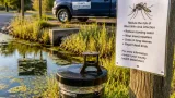 West Nile virus detected in Jackson County mosquitoes — first Oregon case this year