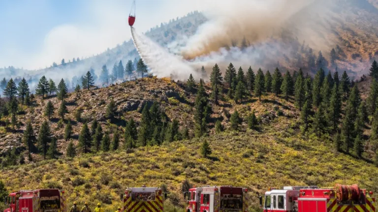 About 10 wildfires burn across eastern Idaho as agencies brace for hottest weekend