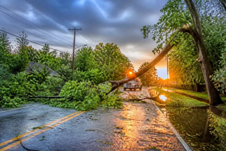 Evening storm topples limbs in Burke, causes outages and minor flooding across central Vermont