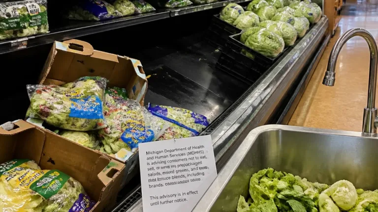 Michigan ties record cyclospora surge to lettuce as cases top 3,300