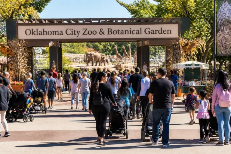 Oklahoma City Zoo draws a record 1.225 million visitors, marking third straight year of growth