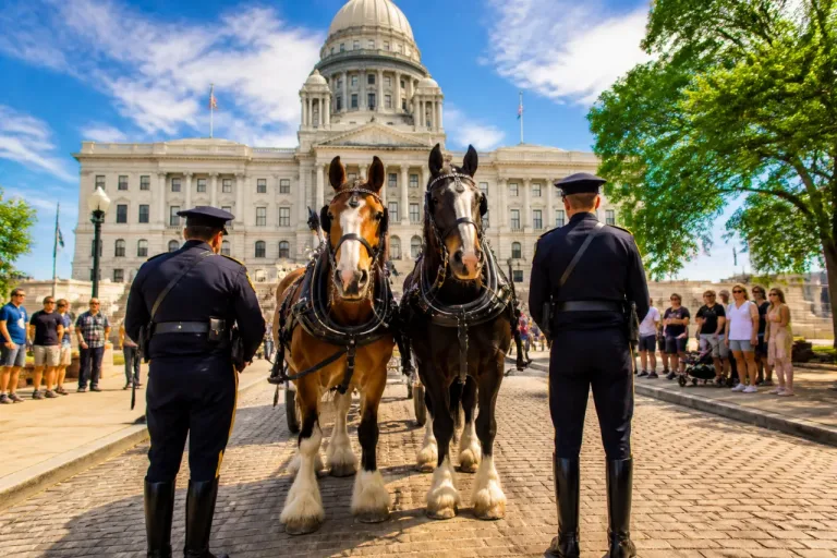 Providence Police add two draft horses to mounted unit to boost community engagement