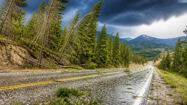 Severe thunderstorms expected across western and central Montana with strong winds, hail