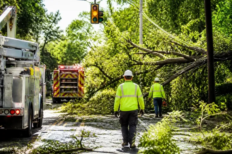 Topeka crews respond after overnight storms topple trees and cut power to thousands
