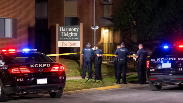 Woman fatally stabbed at Harmony Heights apartments; suspect taken into custody
